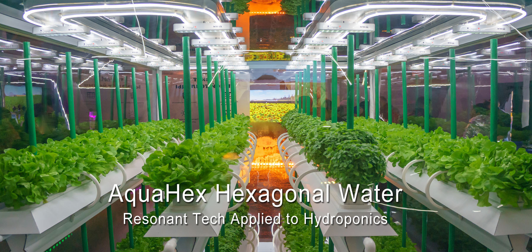 AquaHex hexagonal water for hydropoinic