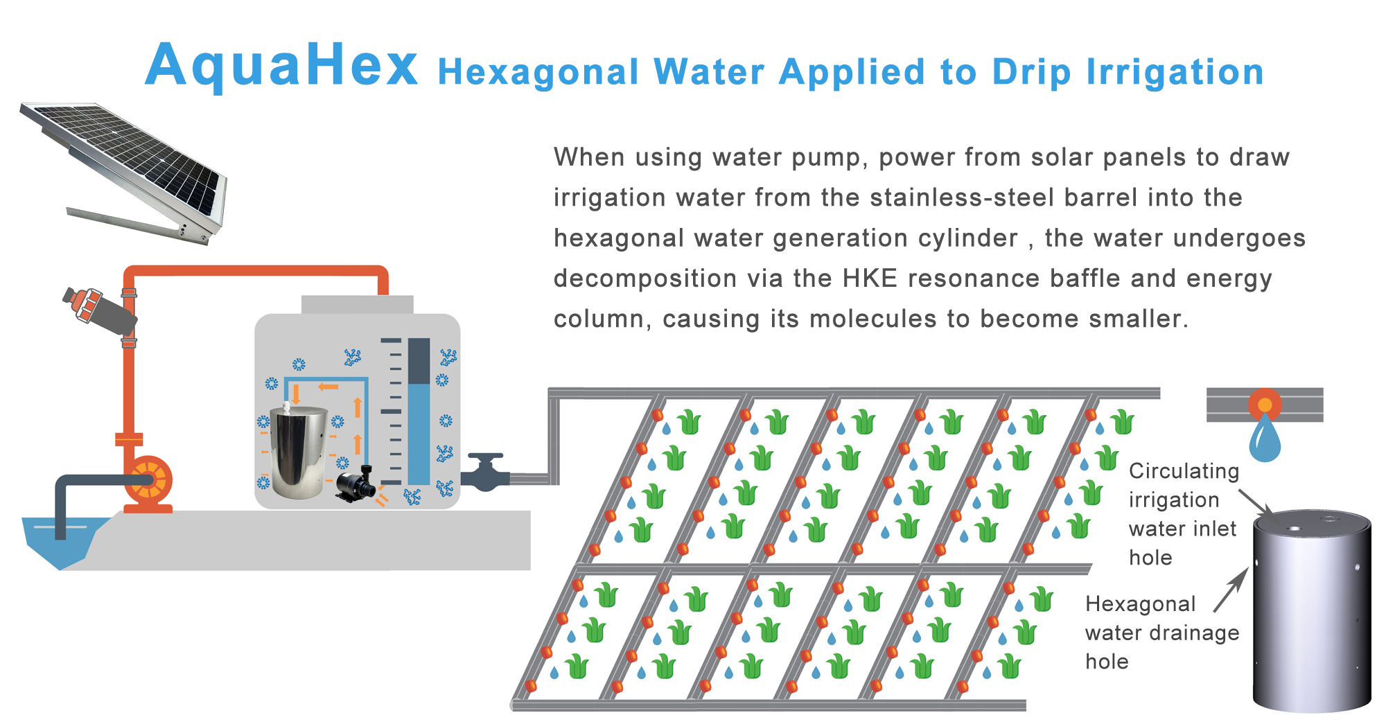 AquaHex hexagonal water applied to drip irrigation